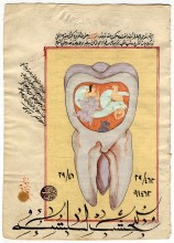 Osmanlı Diş Hekimliği